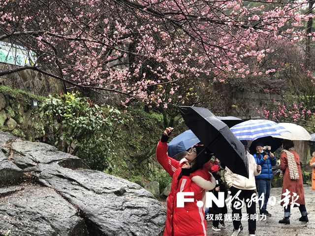 2022年福州·鼓山梅花文化节开幕