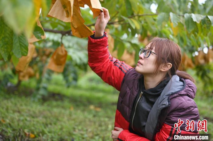 台湾女硕士扎根广西十年成新“农”人