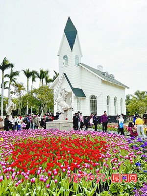 春节期间 厦门休闲游、周边短途游、年俗文化游红火兴旺