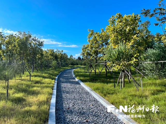 滨海新城防护林二期竣工验收 生态屏障连绵21公里