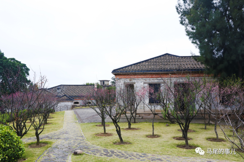 马尾春季第一波赏花指南，限定美景等你来！