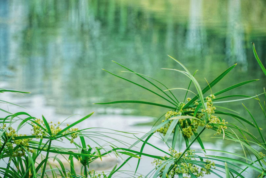 福州版“绿野仙踪”来了！就在……