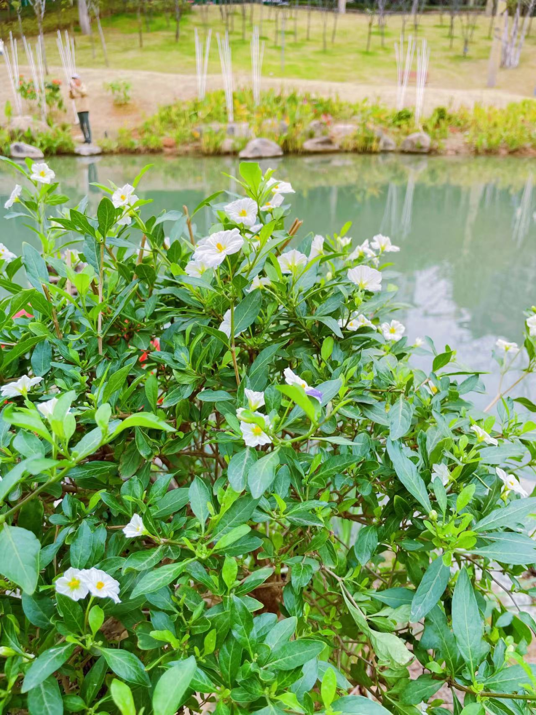 福州版“绿野仙踪”来了！就在……