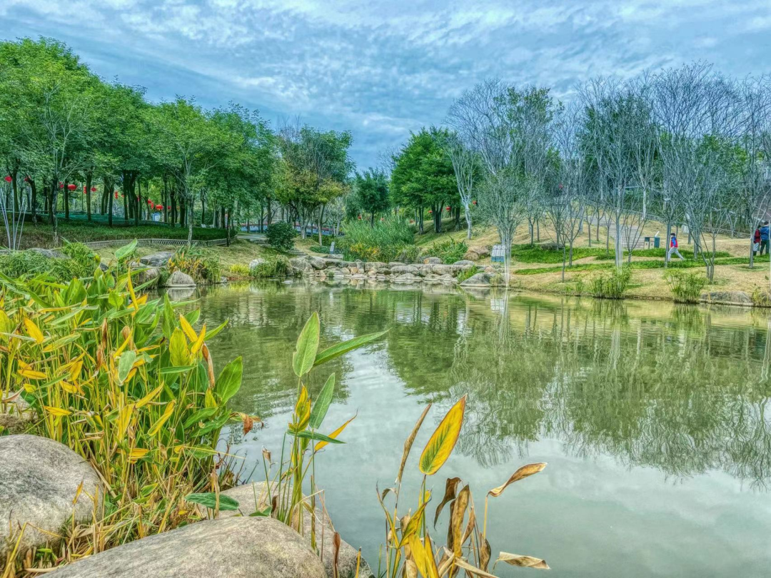 福州版“绿野仙踪”来了！就在……