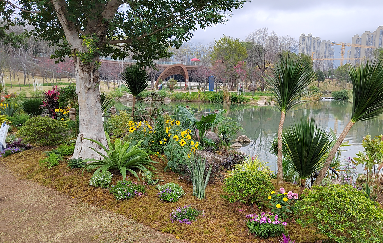 福州版“绿野仙踪”来了！就在……