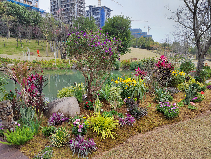 福州版“绿野仙踪”来了！就在……
