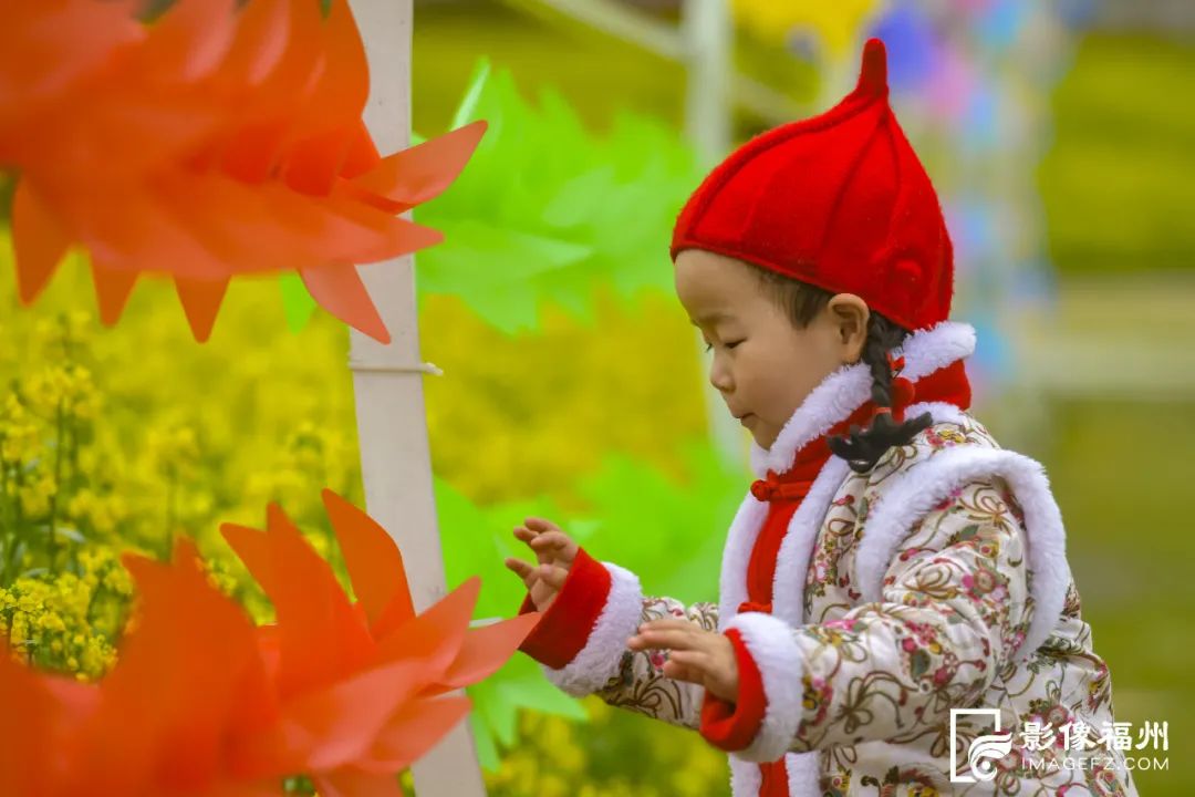 一转眼！福州到处金灿灿！就在……