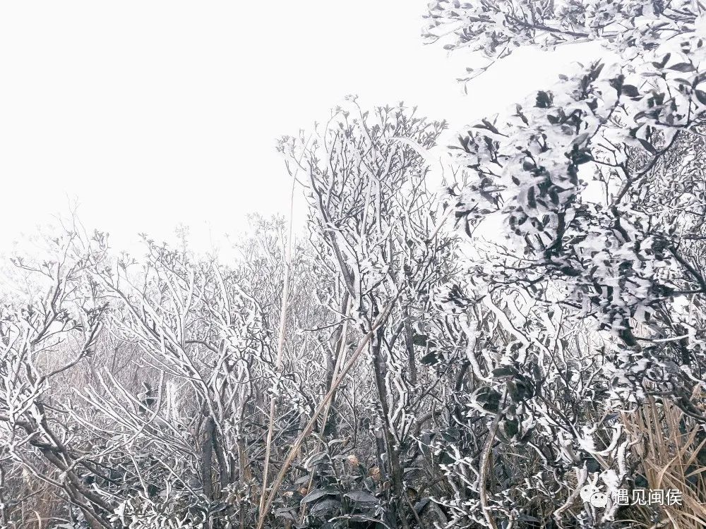 最新预报！福州山区有雪、局地大雪！