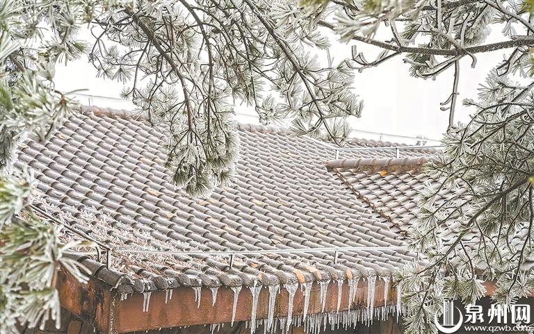 泉州：美丽“冻”人 雨凇雾凇雪景齐现