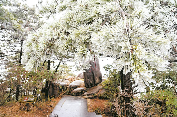 虎年初雪