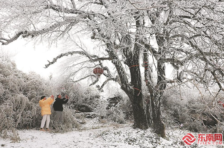 虎年初雪