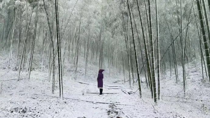 紧急通告！福建这个地方高速、国省干道、县道等全面封闭！