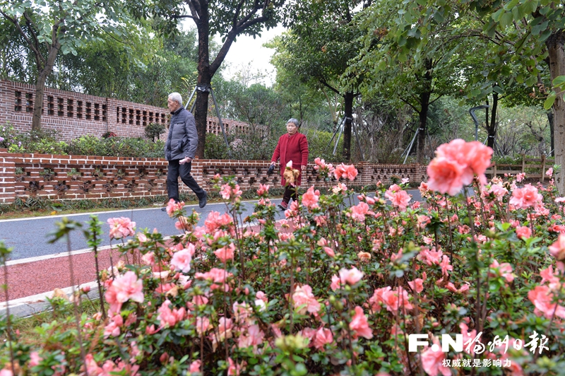 琴亭湖公园杜鹃花开 品种达150个