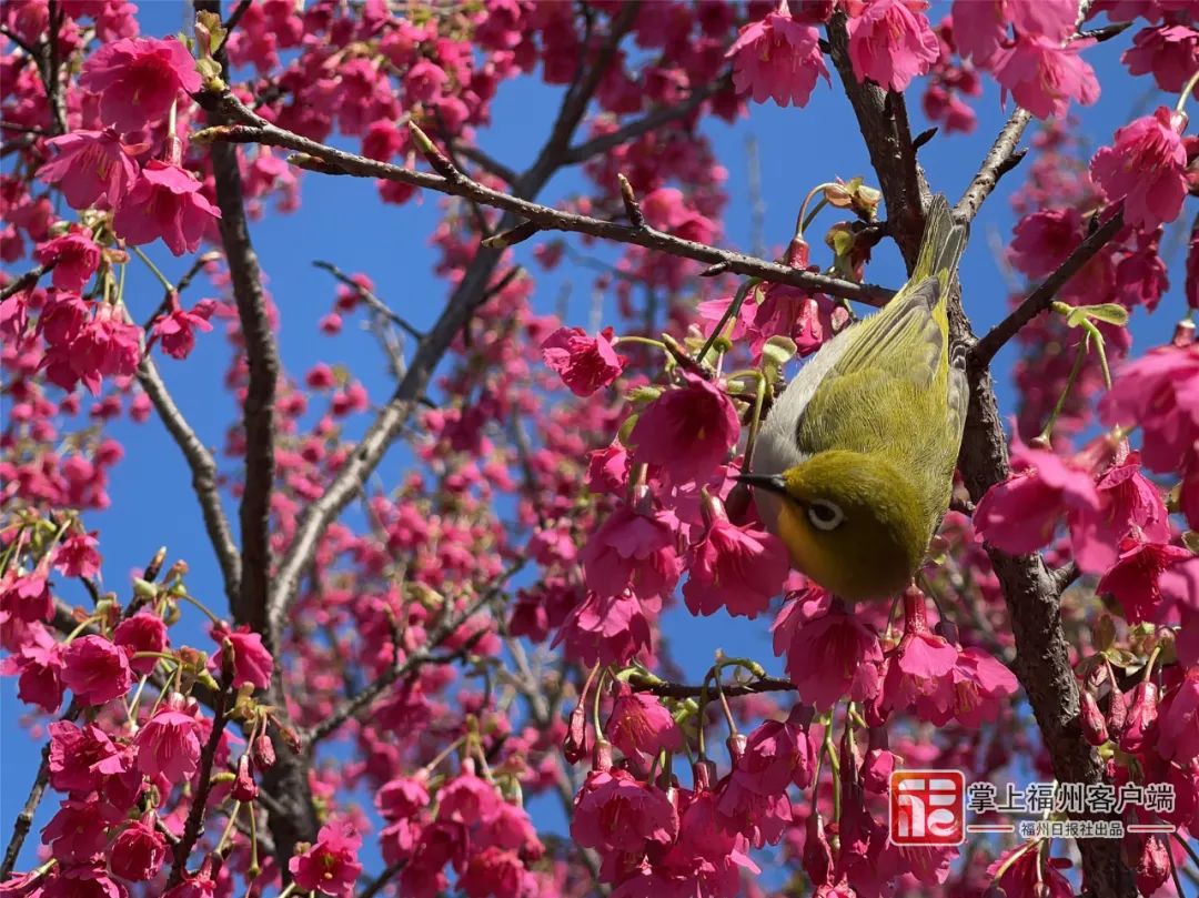 今天，全福州都在聊这件事！有人激动哭了……