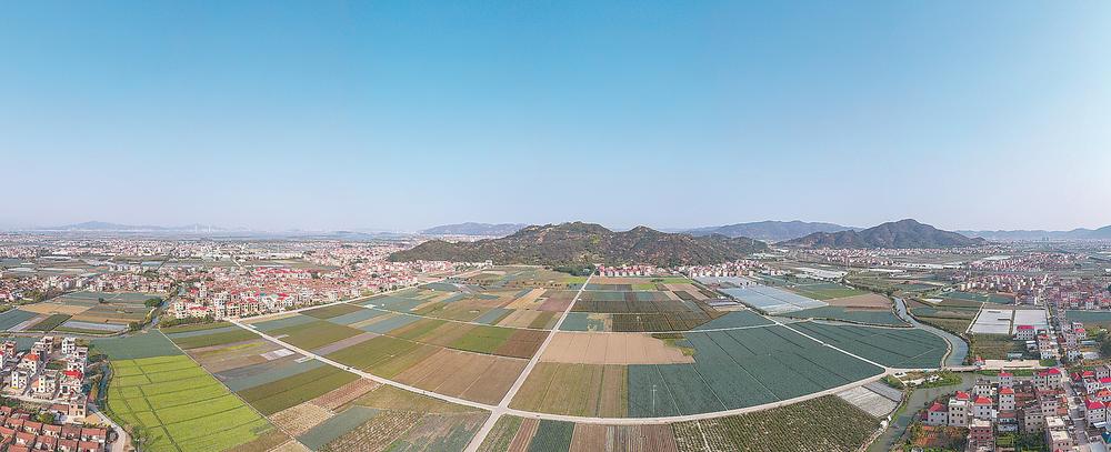 转型，在希望的田野上——探究漳州龙海蔬菜产业振兴之路