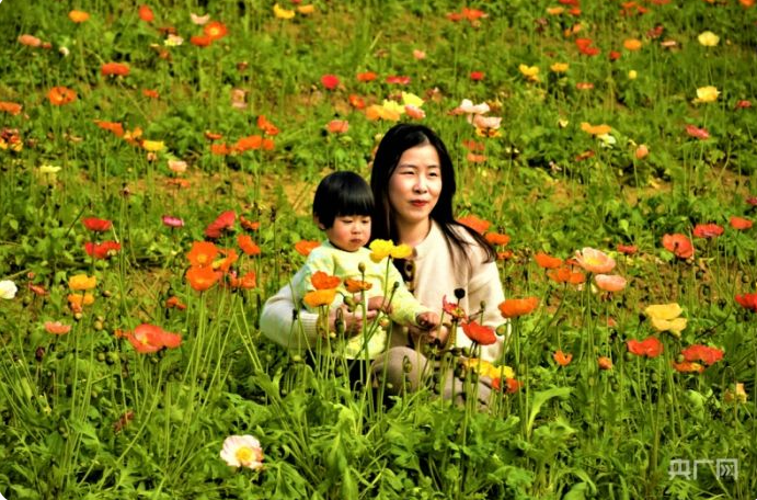 福州：春暖花开 踏青赏花所遇皆风景