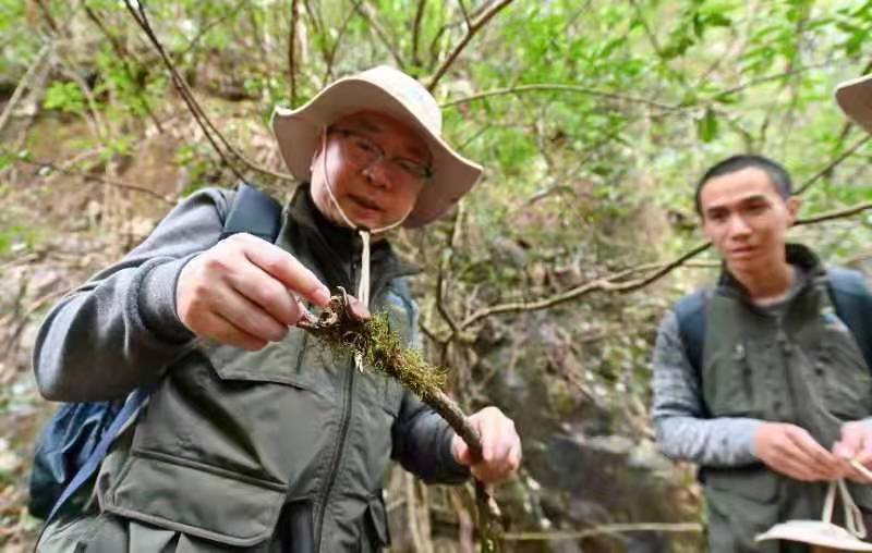 2022年“关注森林·探秘武夷”生态科考在福建光泽启动