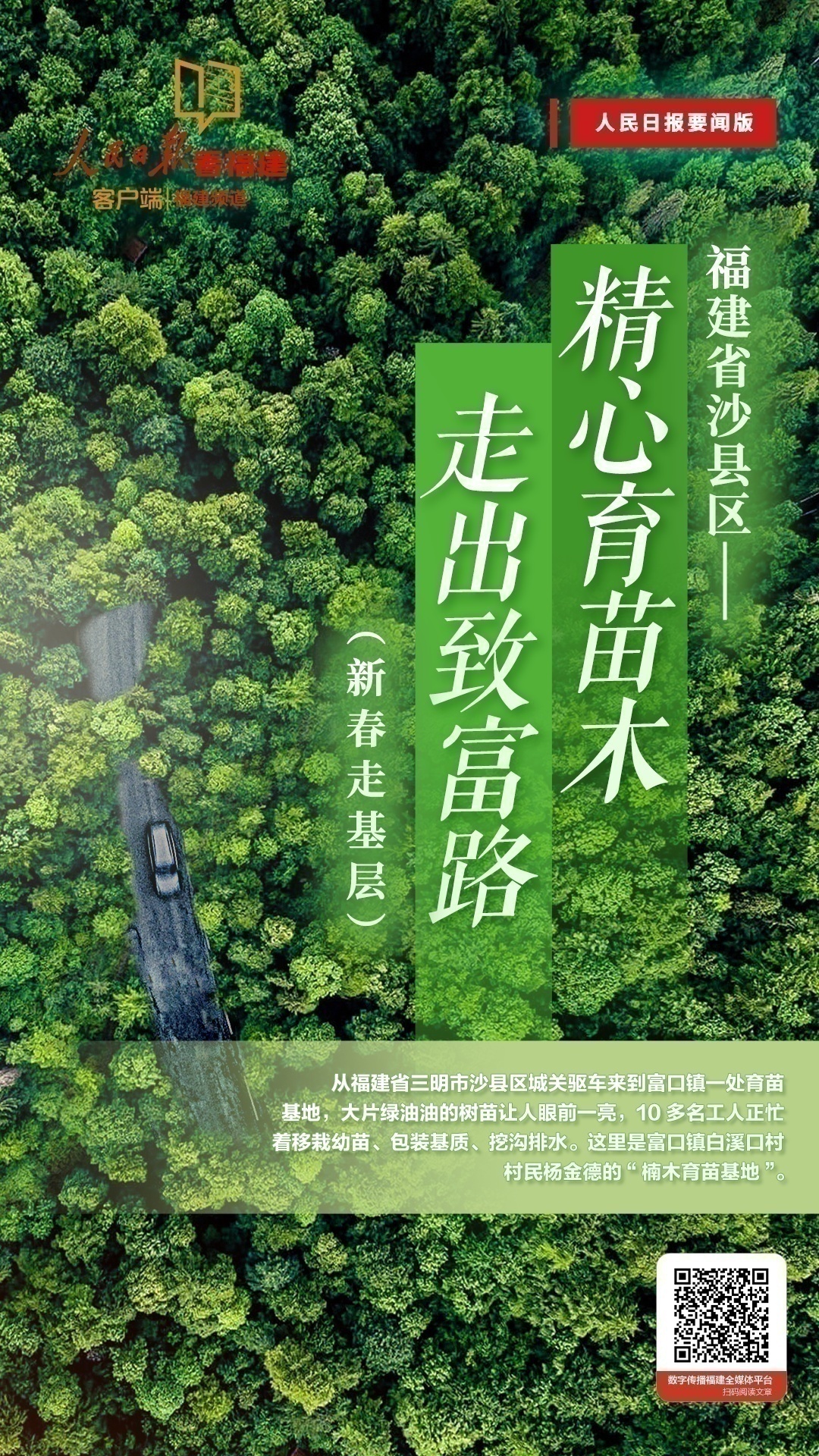 1个头版，26篇报道！人民日报二月份这样报道福建