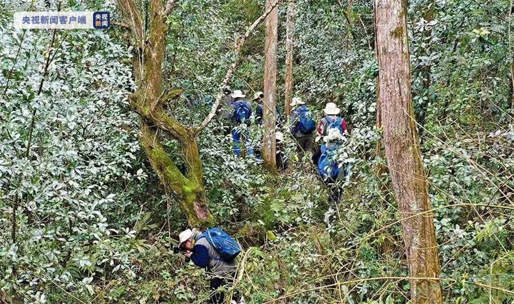 武夷山国家公园西片区启动首次联合科考