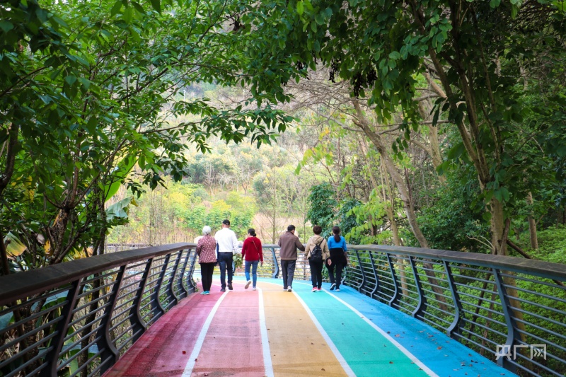 福州福山郊野公园彩虹步道美出圈