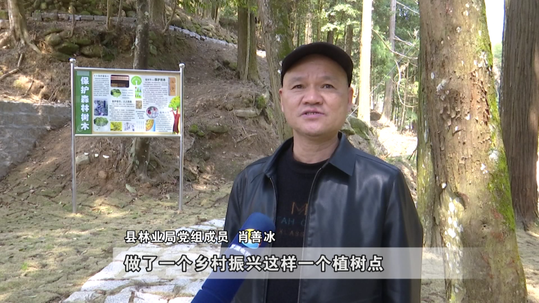 罗源县开展“保护古树名木 弘扬生态文化”宣传活动