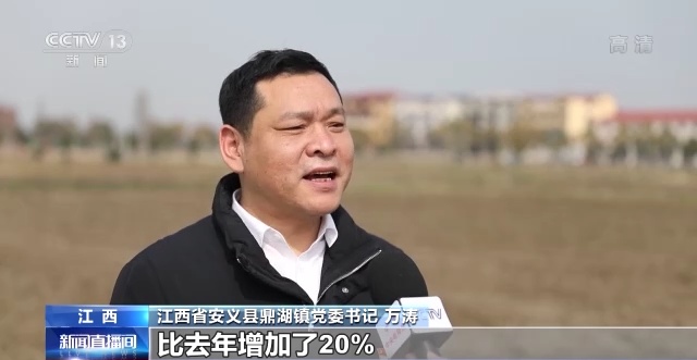 稳粮保供 我国春耕备耕全面展开