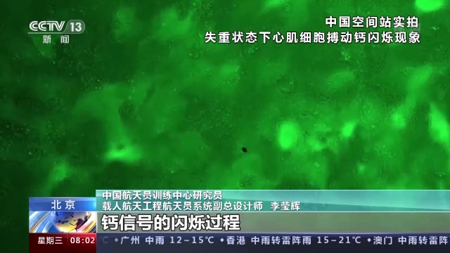 神舟十三号航天员完成多项在轨实验 发现了什么？有何意义？
