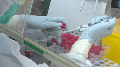 永泰县核酸检测PCR实验室：他们24小时不打烊