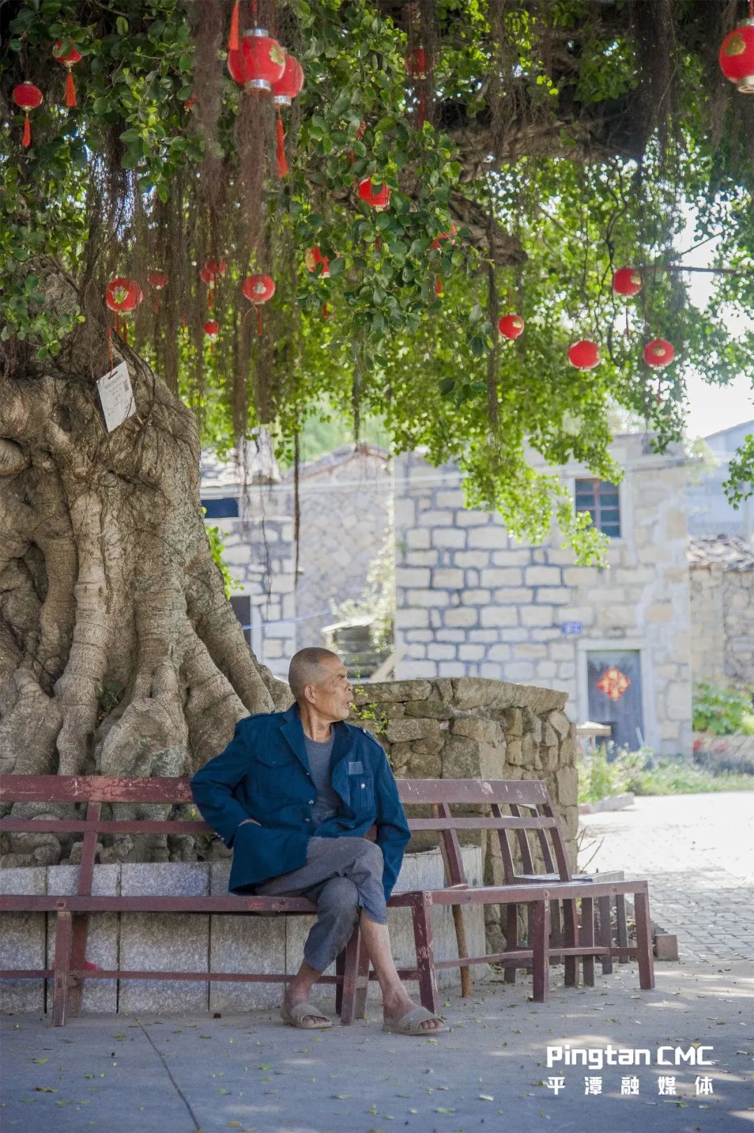 平潭300岁古榕树与台湾的故事，你知道吗？