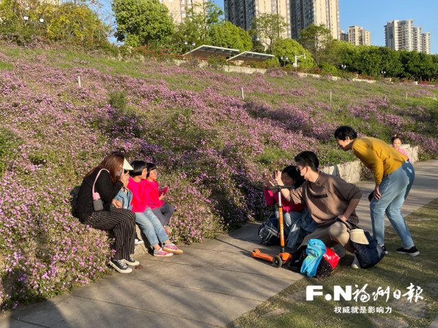 这七种花盛放时间定了！乌龙江公园发布花期预报