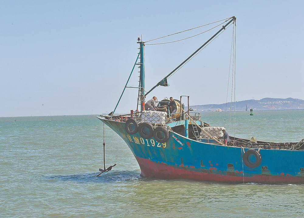 泉州：对申报出海渔船进行消杀、现场核查、动态编组