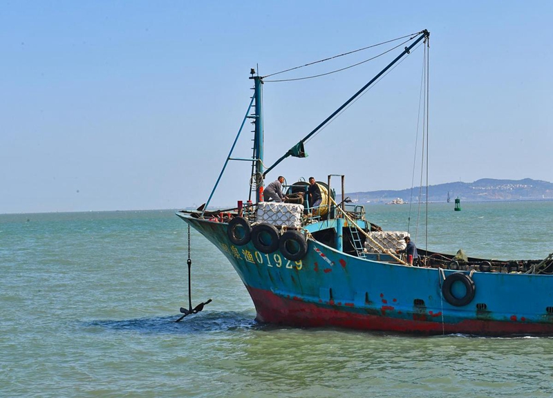 首批15艘渔船出海 泉港渔业生产有序恢复