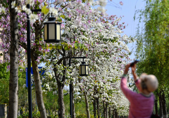 福州：四月春暖花开