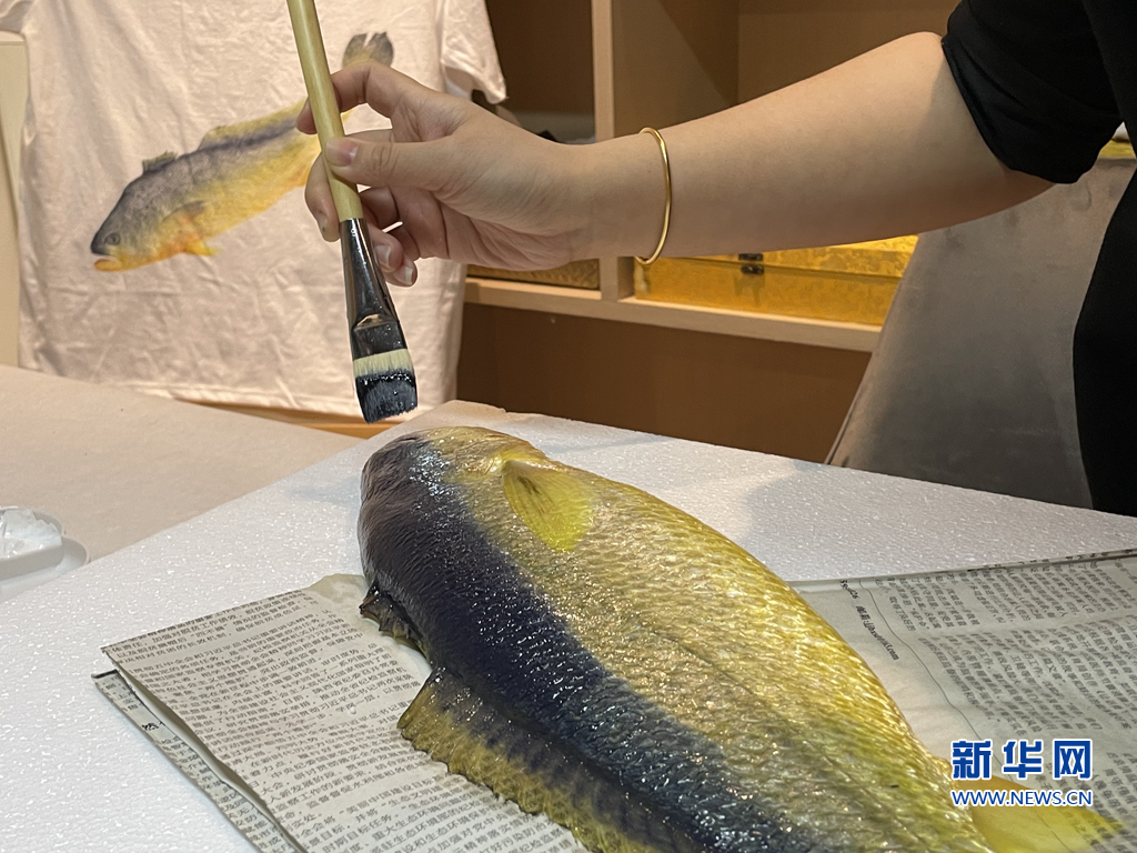 鱼拓：传承千年的技艺 让尺幅“游”出大黄鱼