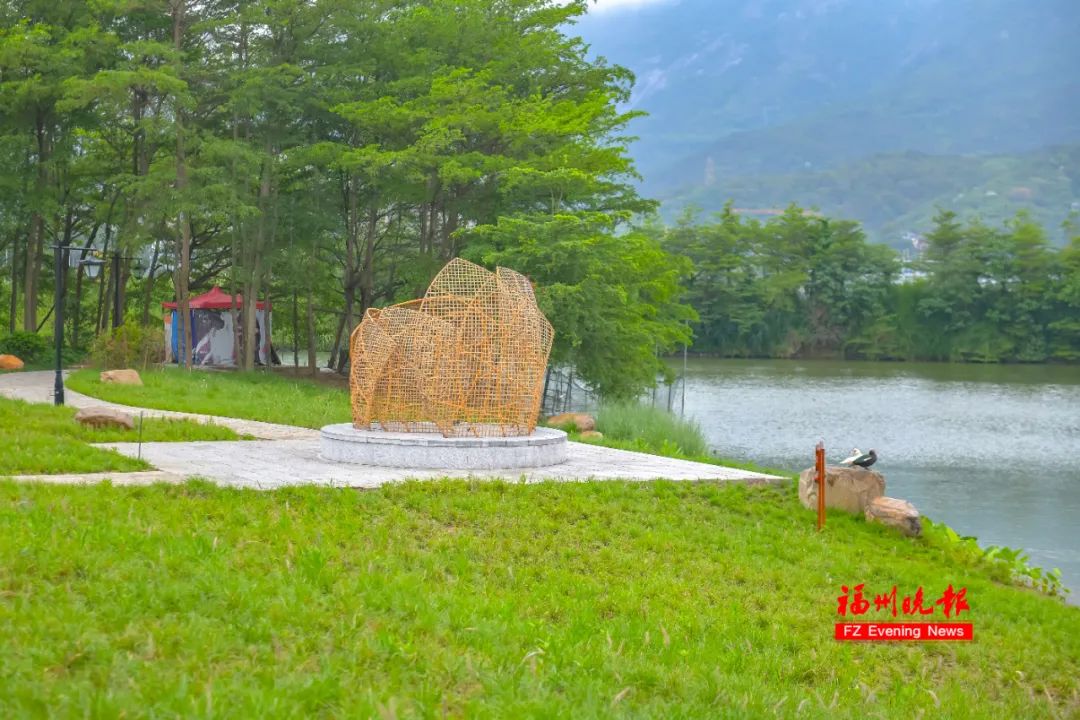 太美了！福州花海公园“颜值升级”