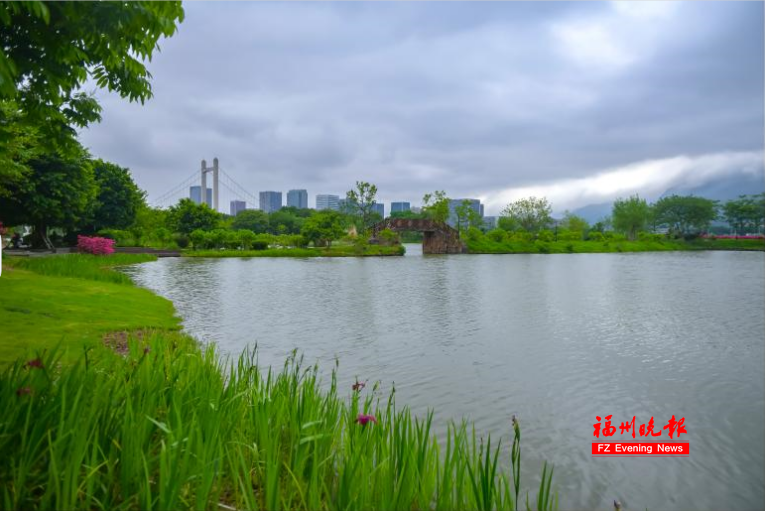 太美了！福州花海公园“颜值升级”