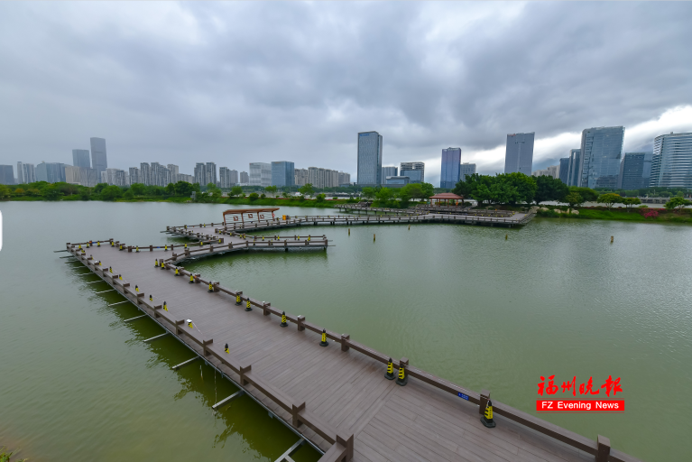 太美了！福州花海公园“颜值升级”