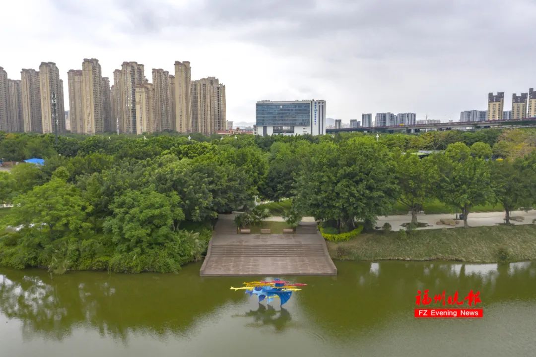 太美了！福州花海公园“颜值升级”