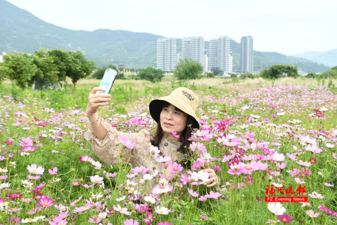 千亩花海！福州这里太美了！