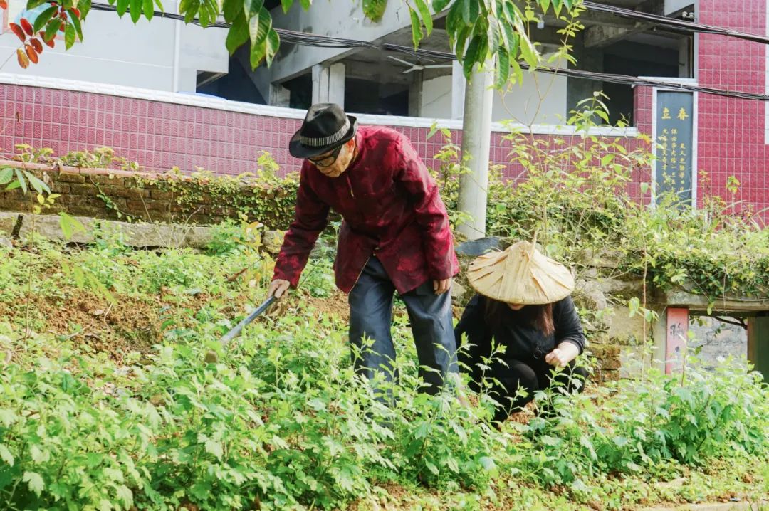 凤凰山下的“老蛇蒋”