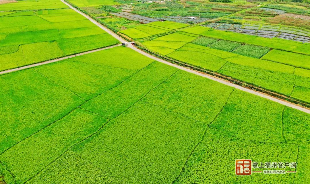 “牢记使命 奋斗为民”系列主题新闻发布会福州市专场举行