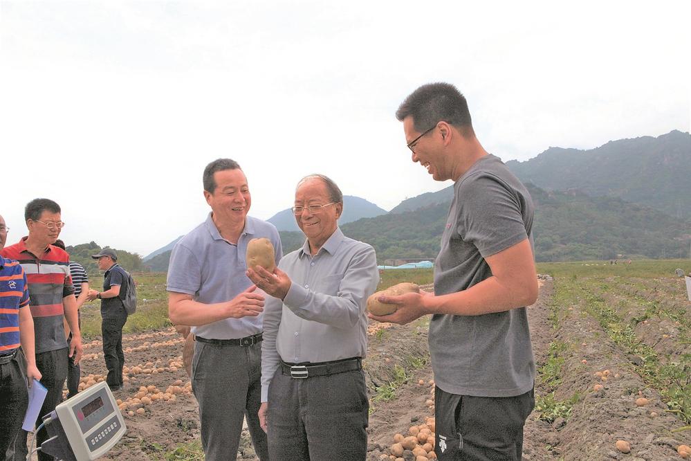 “闽薯家族”喜添新成员！