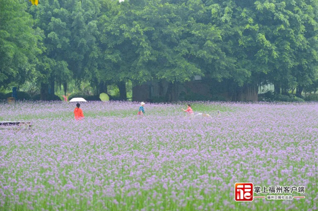 跌破最低纪录？！福州今天好冷！接下来……