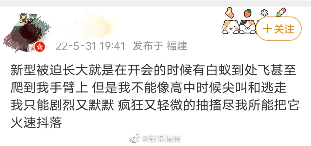 又到了福建人大战白蚁的季节 ，学会四招，让白蚁退！退！退！