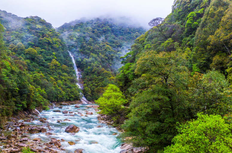 南平市委书记林瑞良在《学习时报》发表署名文章：推动武夷山国家公园生态价值实现