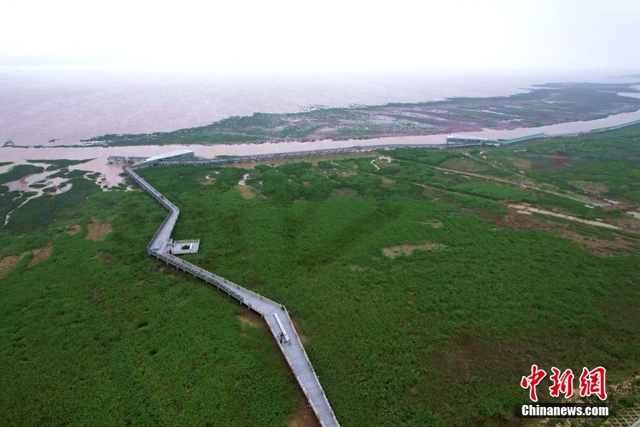 闽江河口湿地生态“蝶变” 福州推进申报世界自然遗产