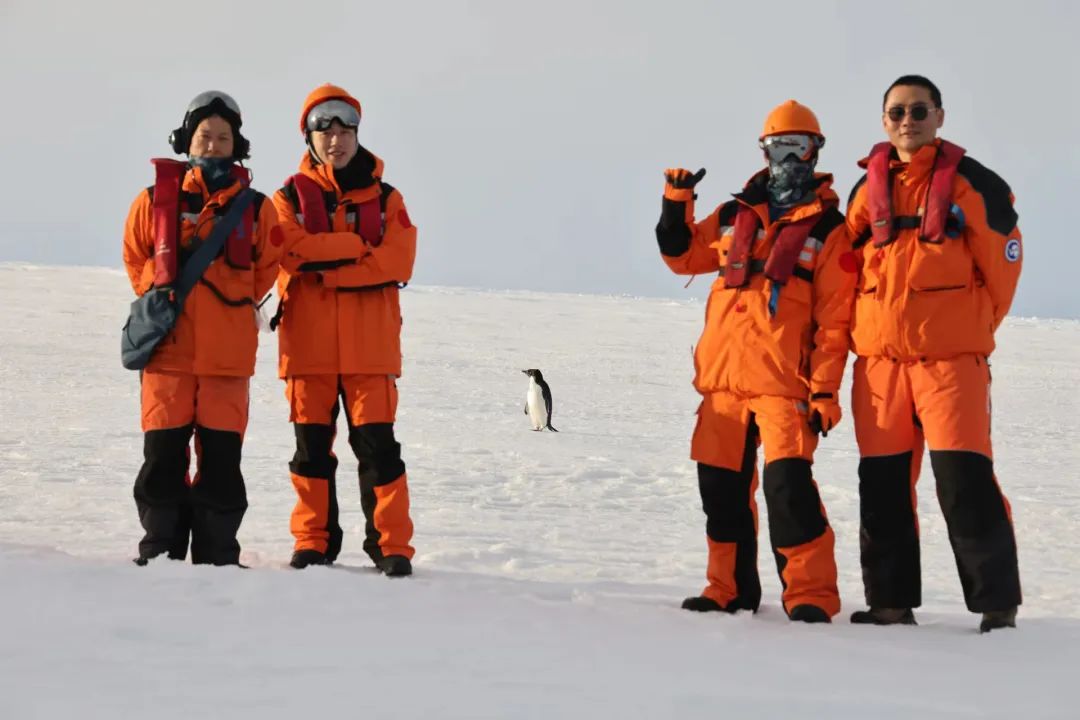 厦大⇄南极，四位厦大学子探索极地海洋！
