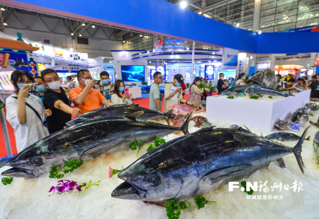 2022渔业周·渔博会12日闭幕 现场签约超220亿元
