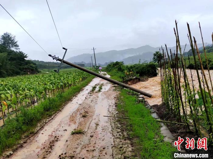 暴雨致福建多条电力线路设备受损