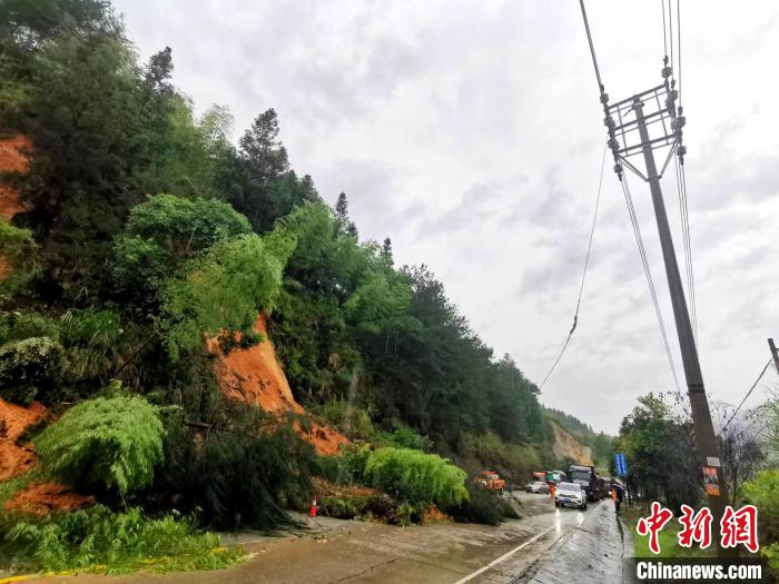 暴雨致福建多条电力线路设备受损